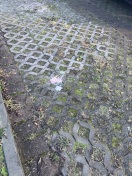 Foto: Scherben auf dem Parkplatz am Wässerring 