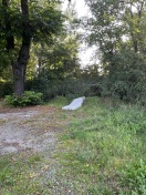 Foto: Alte Matratze wild entsorgt 