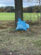 Foto: Müllablagerung 