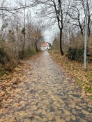 Foto: Geh- und Radwegreinigung  