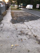 Foto: Verdichtung Straßenbegleitgrün 