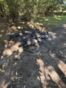 Ludwigsfelde: Dachpappe   Foto: Dachpappe