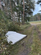 Foto: Müllablagerung am Waldrand 