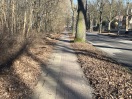 Foto: Herbstlaub auf Geh- und Radweg Zehlendorf Damm 