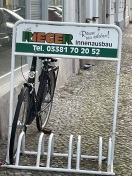 Foto: Tote Taube auf dem Gehweg 