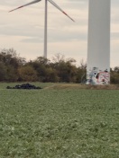 Foto: Entsorgte Autoreifen  