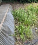 Foto: Wildwuchs vor der Brücke nahe Neuruppiner Straße 