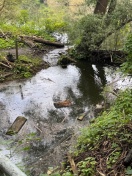 Foto: versperrter Abfluss 