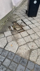 Foto: Lockere Gehwegplatten 