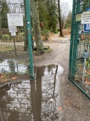 Foto: Pfütze am Eingang zum Friedhof  