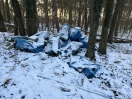Foto: Bauabfälle im Wald  