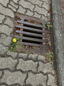Foto: Vorgang 324062 Gullydeckel  
