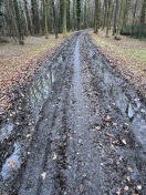 Foto: Östlicher Spree-Deichweg in miserablen Zustand 