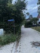 Foto: Hecken/Büsche im Straßenbereich 