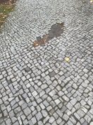 Foto: Stolpergefahr 
