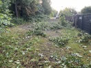 Foto: Sturmschäden 