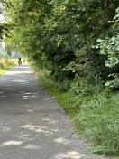 Foto: Ungepflegt, Verkehrsbehinderung, Wildwuchs Sträucher und Bäume  