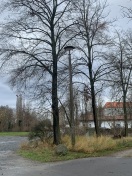 Foto: Straßenlampe am Rummelplatz defekt.  