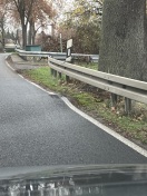 Foto: Baumwurzelanhebung 