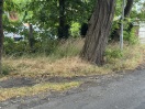 Foto: Pflege Grünstreifen  