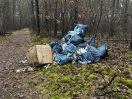 Foto: Müll abgeladen im Wald 