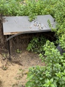 Foto: Vermüllung Wallgraben 