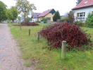 Foto: Sturmschaden  