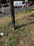 Foto: Hegelallee- viel Plastikmüll 