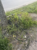 Foto: Telefonkabel  