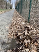 Foto: ID 288743 Reinigung nicht Ordnungsgemäß  