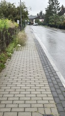 Foto: Bewuchs Gehweg  