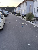 Foto: Müll und Silvester-Abfall auf Straße und Grünstreifen 