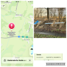 Foto: Illegale Entsorgung von Baumüll 