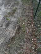 Foto: Zerstörung von öffentlicher Grünfläche  