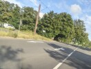 Foto: Fahrbahnmarkierungen Kreuzung Bergstrasse/Marienstrasse/Brückenstrasse/Essigstrasse  