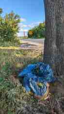 Foto: Blaue Müllsäcke im Bereich Parkbucht hinter der Kreuzung Börnicker Landweg / Blumberger Chaussee 