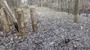 Foto: Pfahl entfernt, Stolperfalle hinterlassen  