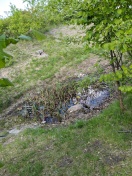 Foto: Wassergraben am Spielplatz  