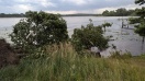 Foto: Baum abgeknickt und in die Havel gekippt. 