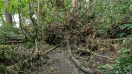 Foto: Sturmschaden 