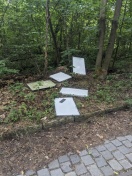 Foto: illegale Müllentsorgung 