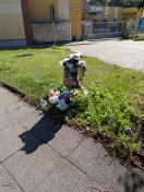 Wriezen: übervoller Mülleimer  Foto: übervoller Mülleimer