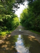 Foto: Weg zur Lehngut Ranch Herzfelde  