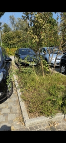 Foto: Grünflächen auf Parkplatz am kleinen Hain wachsen immer weiter ein 