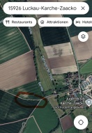 Foto: Eichenprozessionsspinner  