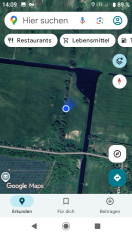 Foto: Toter Wildvogel 