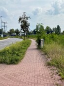 Foto: Weg wuchert zu 