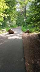 Foto: Wildes durchfahren 
