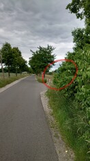 Foto: Vorschriftszeichen geradeaus unlesbar 