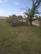 Foto: Astbruch 
